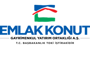 Ana sponsor logo