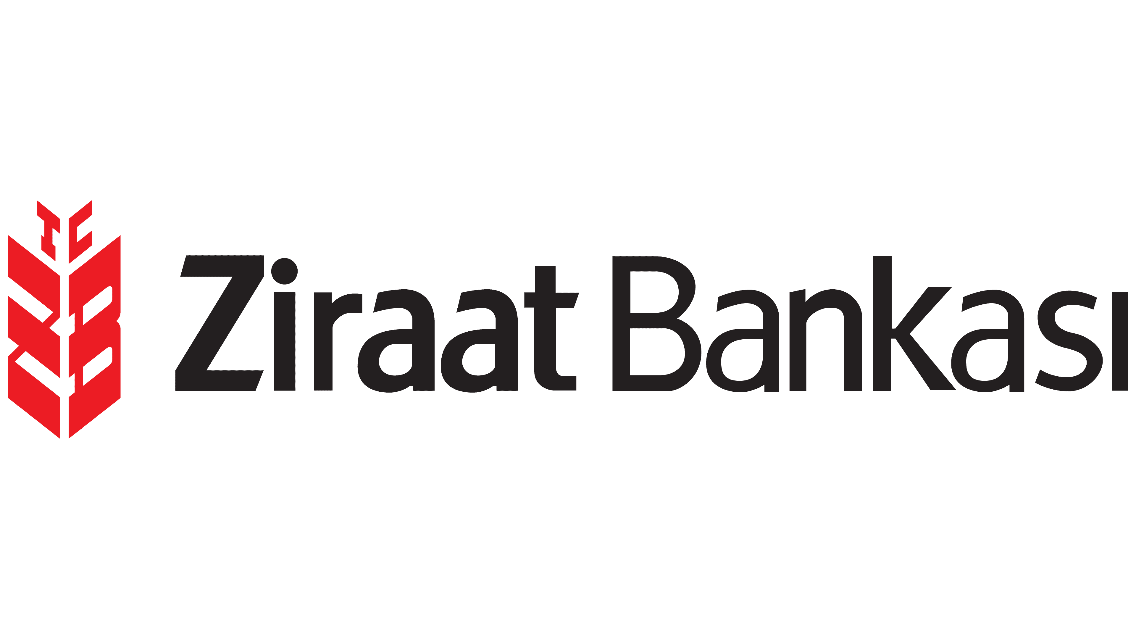 Altin sponsor logo